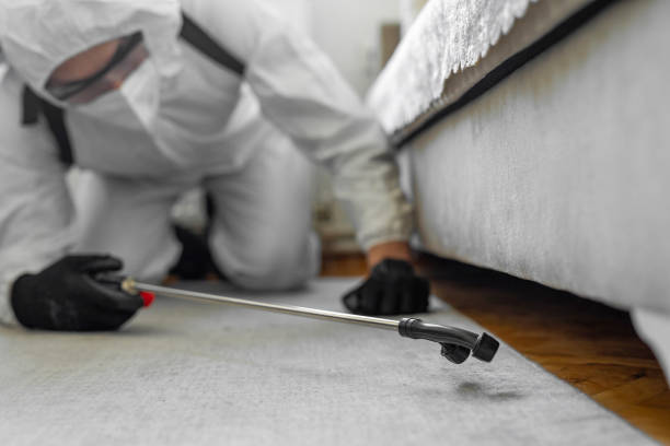 Professional Termite Control technician working in Abram, TX