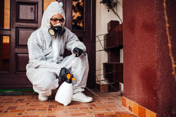 Reliable Termite Control contractor in Abram, TX by Nex Pest Control